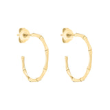 Tamaris Creole mit Bambus Design in der Farbe gold Produktbild