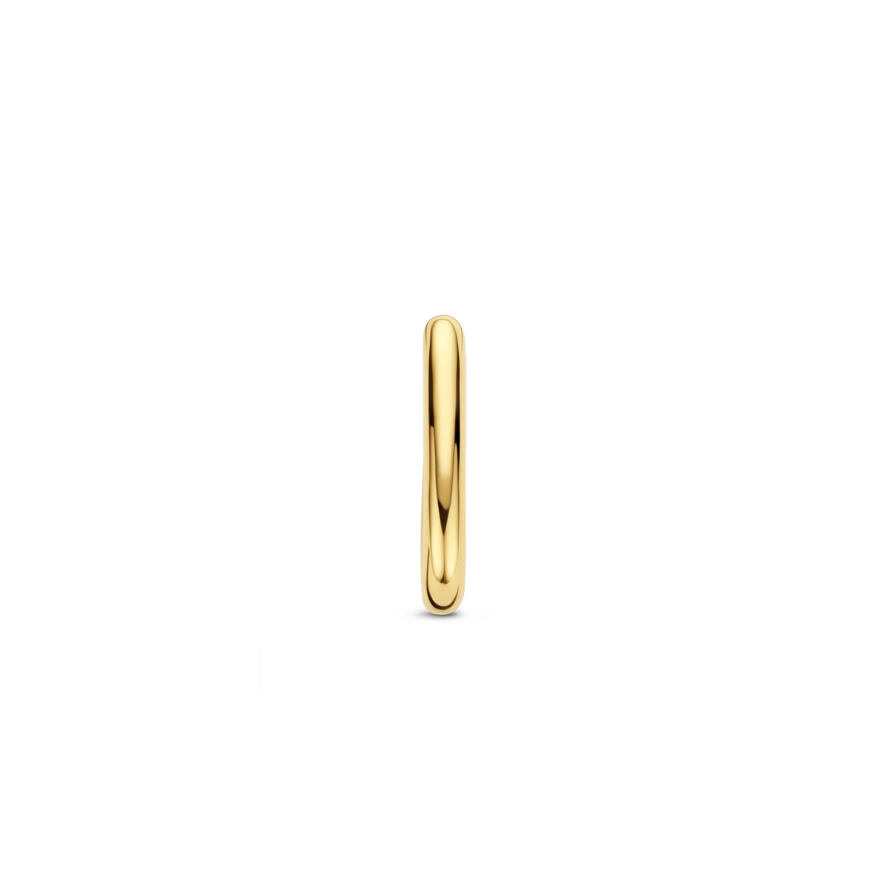 Ein schlichter goldener Bandring steht aufrecht auf weißem Grund, von vorne fotografiert - ein zeitloses Accessoire, das sich wunderbar mit der Ti Sento Milano Creole - The Classic Creole von Ti Sento Milano kombinieren lässt.