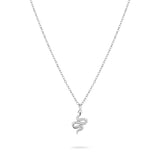 Apple of Eden Halskette mit feiner silbernen Kette und silbernem Schlangenanhänger; Produktbild