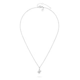 Apple of Eden Halskette mit feiner silbernen Kette und silbernem Schlangenanhänger; Produktbild