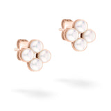 Die Tamaris Ohrstecker - The Flower Pearl sind florale Stecker aus roségoldfarbenem Material, verziert mit vier runden weißen Perlen.
