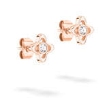 Apple of Eden Ohrstecker – The Sparkling Flower