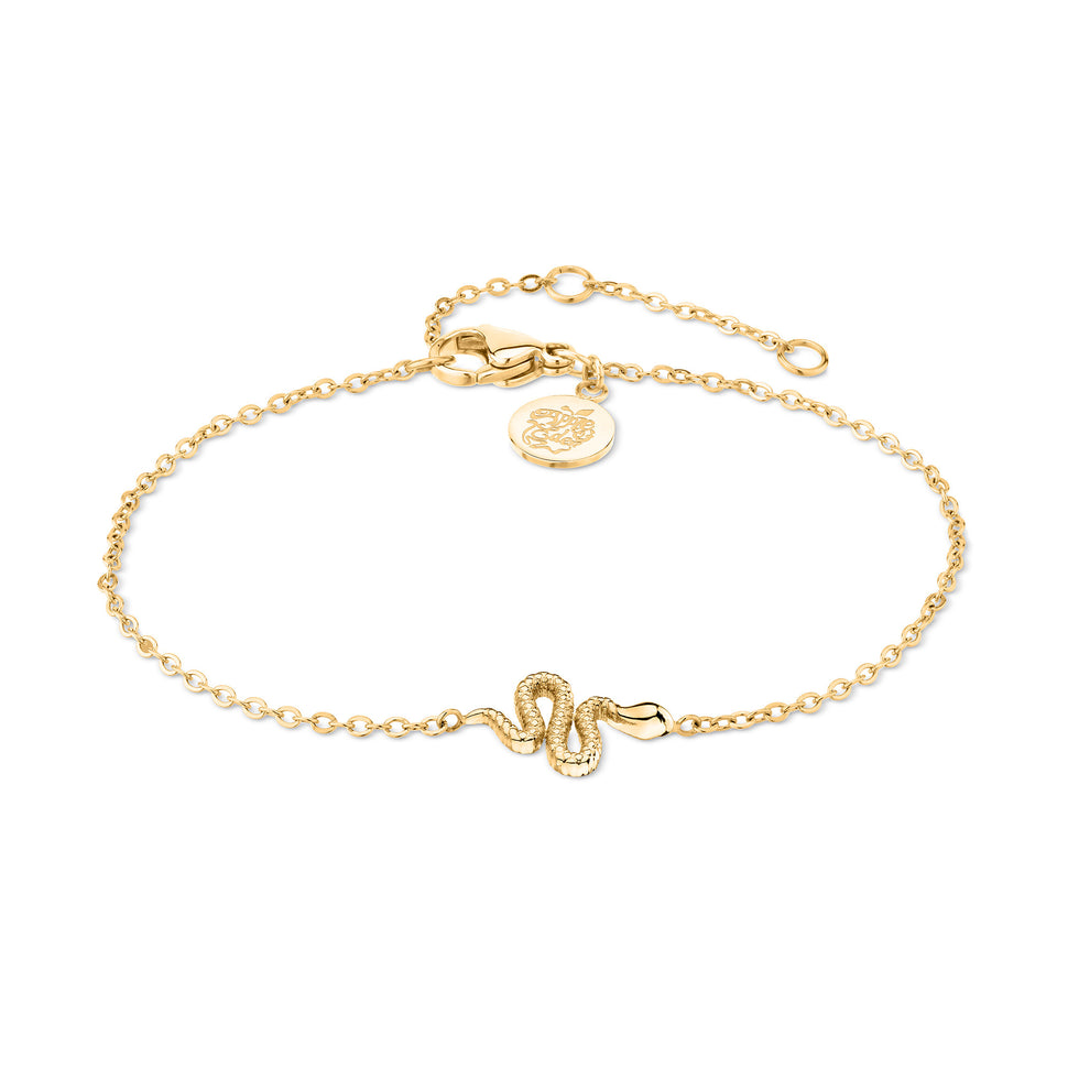 Apple of Eden Armband mit feiner goldenen Kette und goldenem Schlangenanhänger; Produktbild