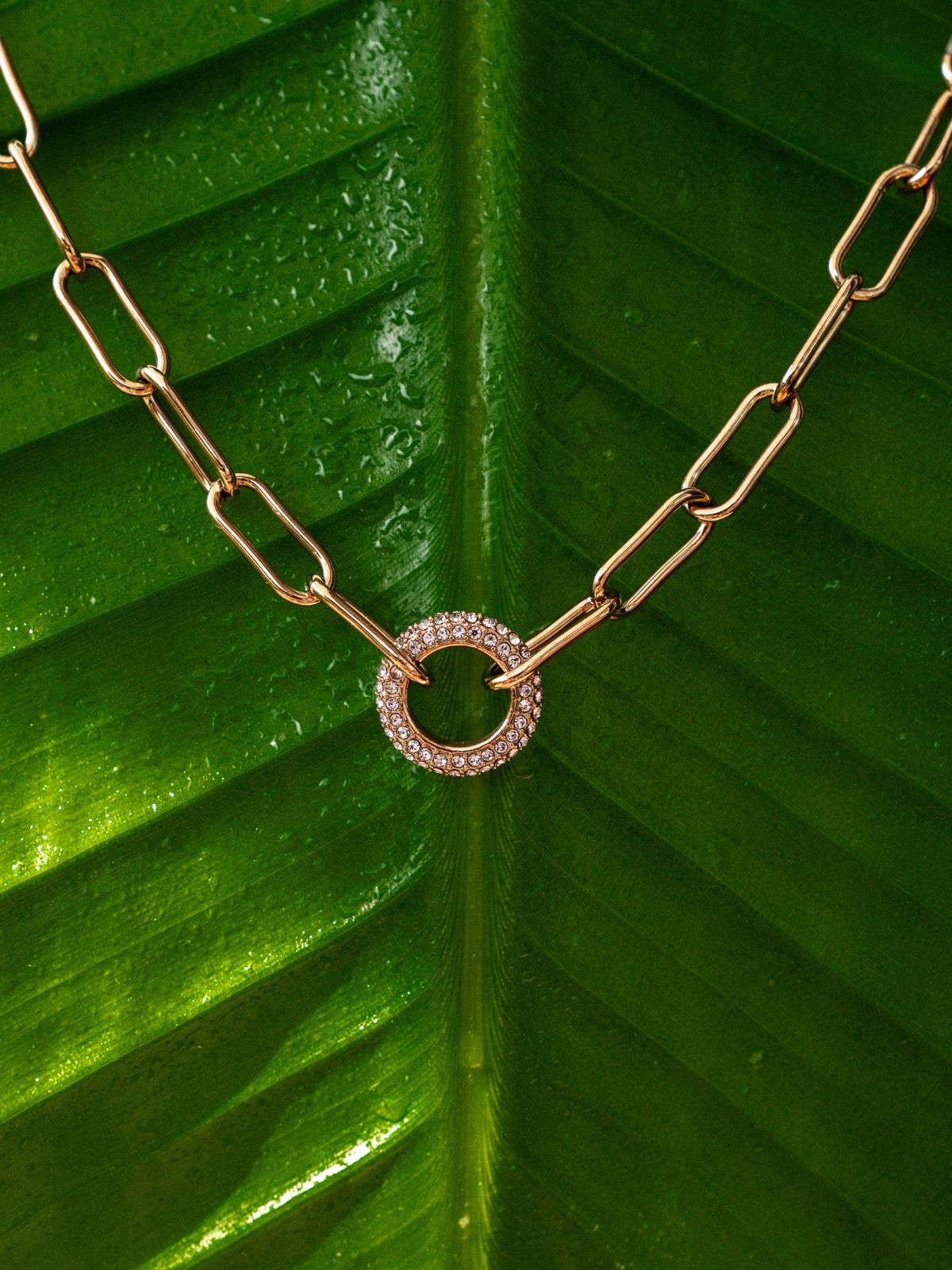 Tamaris Halskette ‚Glitter Donut‘ in Gold mit funkelndem Anhänger auf grünem Blatt – sommerlicher Schmuck-Look.