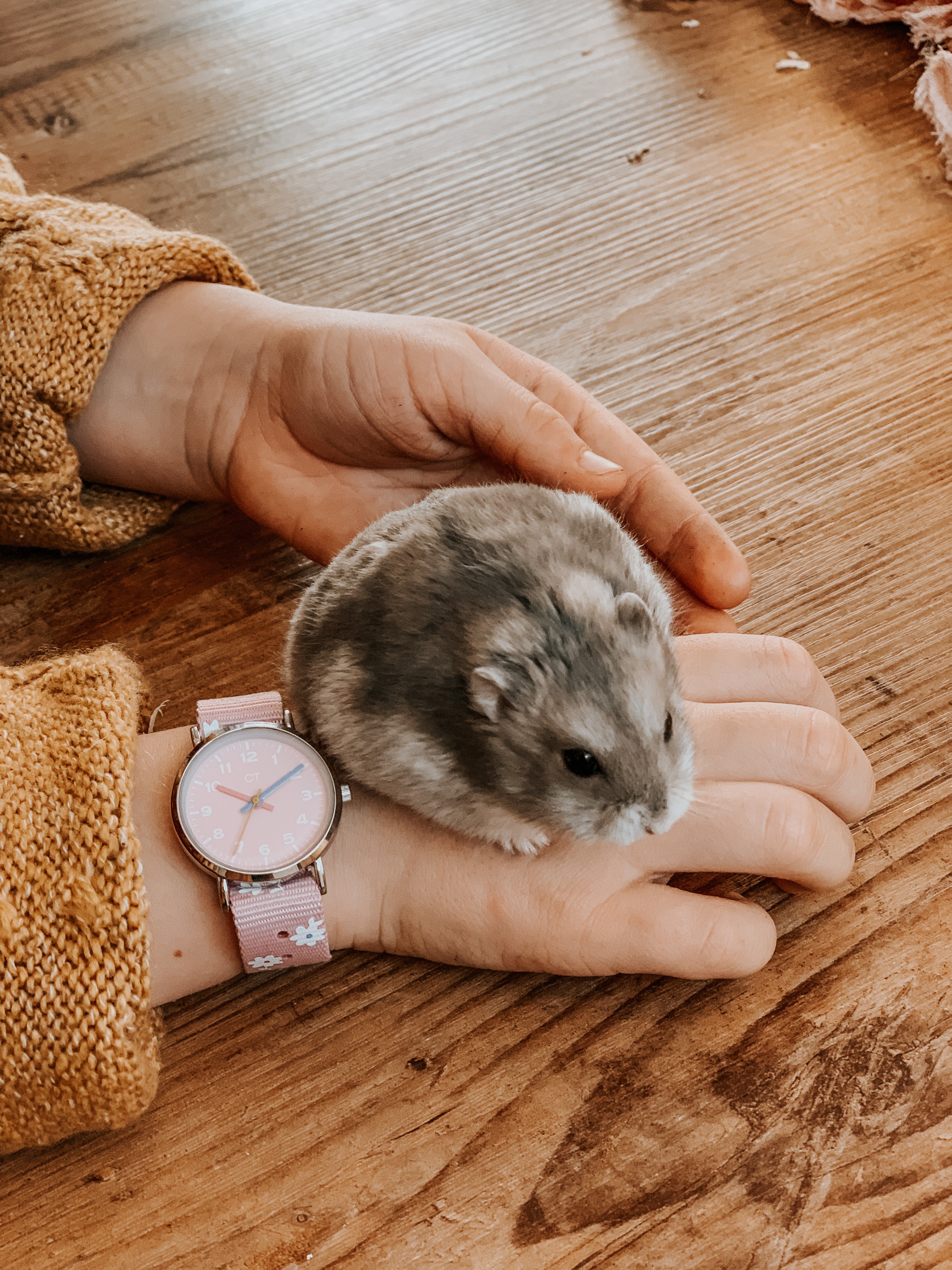 rosa-farbene Kinderuhr, Hamster