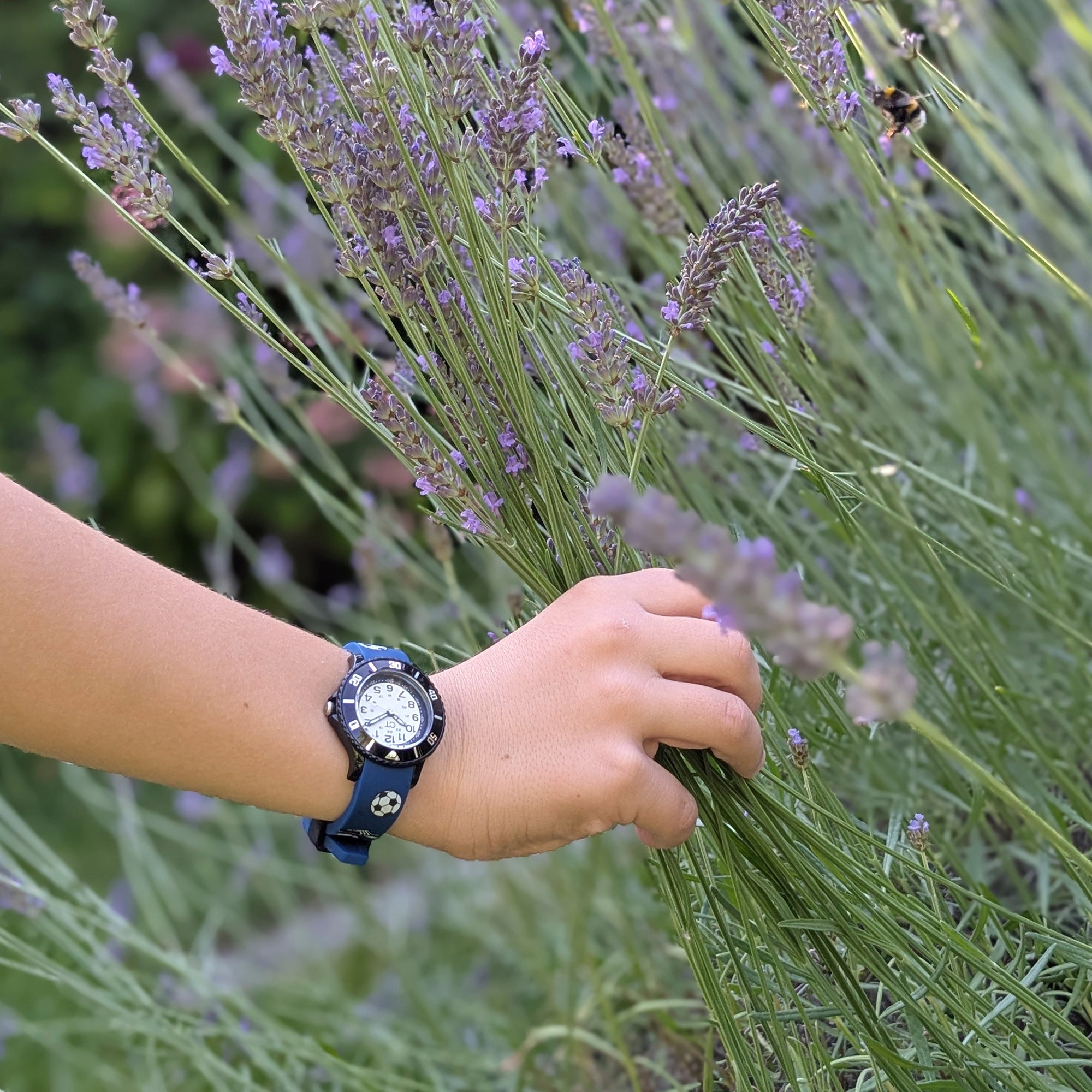 Kind mit blauer Fußball-Kinderuhr in einem Lavendelfeld – sportliches Accessoire für kleine Naturentdecker und aktive Abenteuer.