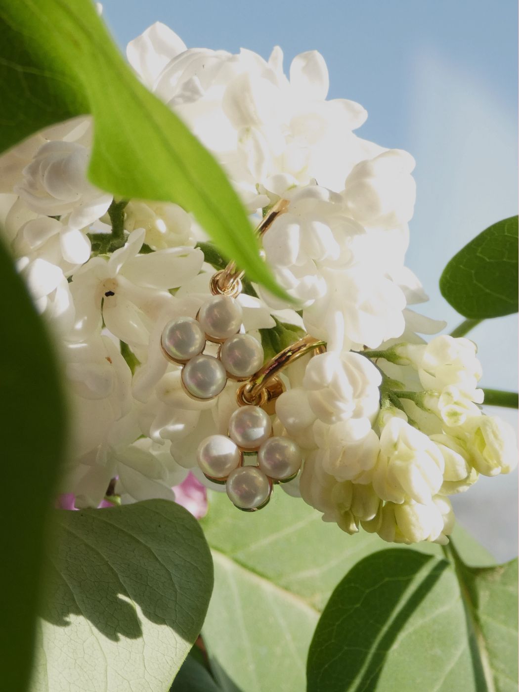 Flower Collection Schmuck: goldene Halskette und Perlenohrringe in Blumenform, inszeniert zwischen frischen Blüten und grünen Blättern.