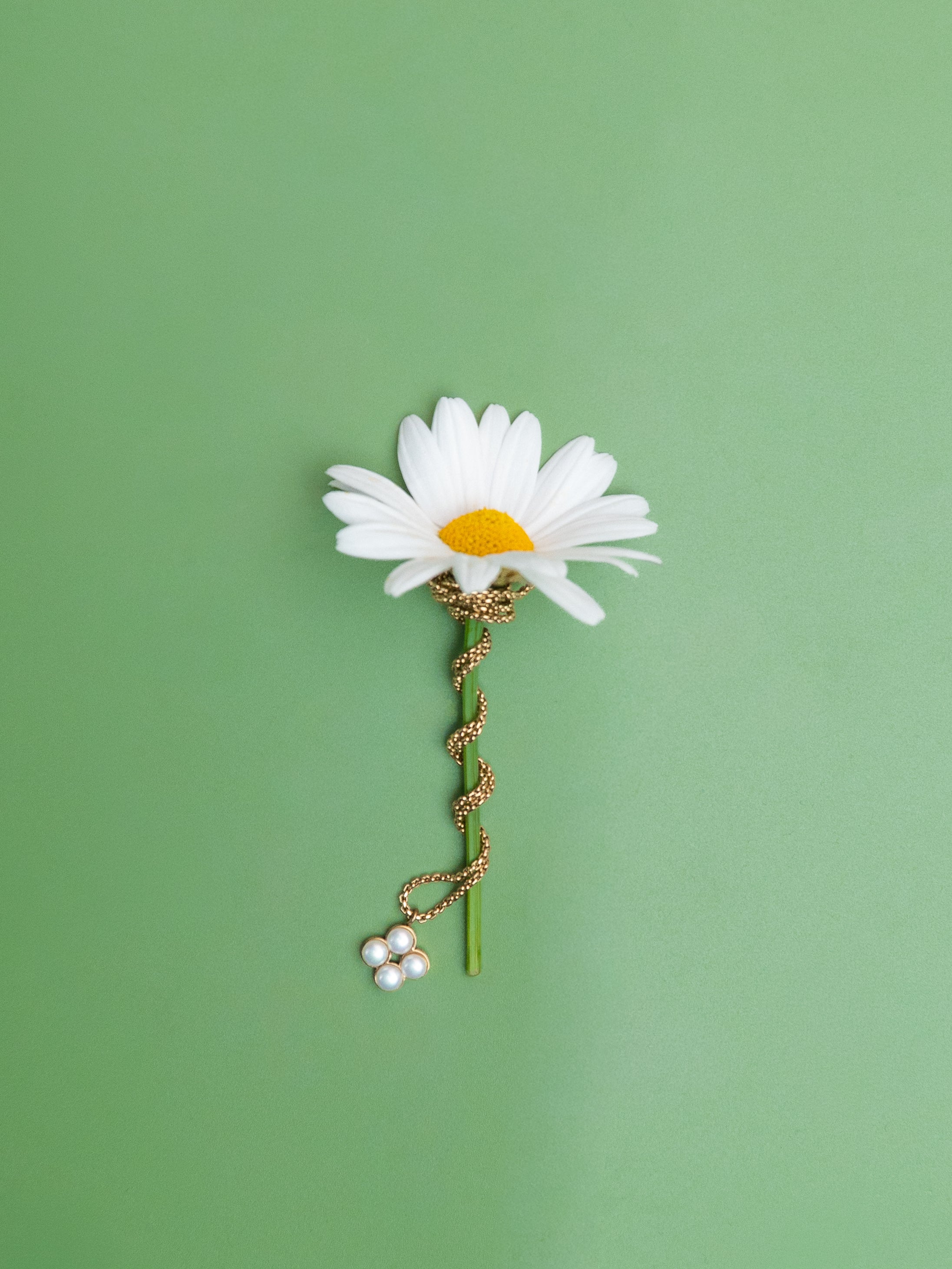 Goldene Halskette von Tamaris mit Blumenanhänger an weißer Margerite vor grünem Hintergrund – filigraner Schmuck im floralen Design.