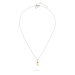 Die LIEBESKIND BERLIN Halskette - Mini Link von Liebeskind Berlin besteht aus einer silbernen Kette und einem kleinen goldenen vertikalen Stabanhänger, der jedem Look moderne Eleganz verleiht. Abgebildet auf einem weißen Hintergrund.