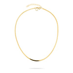 LIEBESKIND BERLIN Halskette - The Long Sleek: eine goldene Halskette von Liebeskind Berlin mit einem einfachen, flachen Design, einer schlanken Kette und einem verstellbaren Verschluss, abgebildet auf weißem Hintergrund.