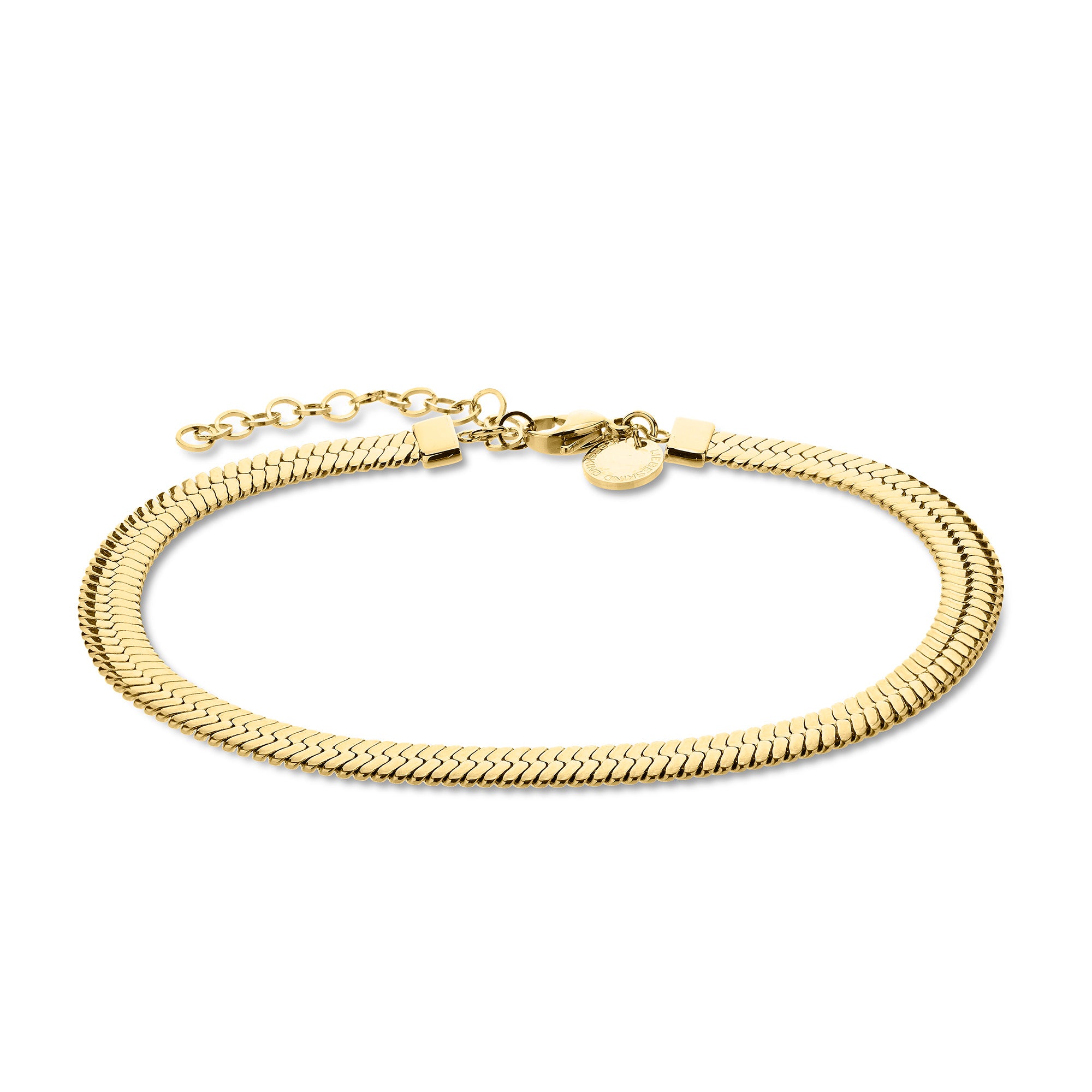 Die Liebeskind Berlin Fußkette - The Sleek von Liebeskind Berlin ist eine goldene Fischgrätenkette mit einem verstellbaren Verschluss und einem kleinen runden Anhänger aus Edelstahl auf weißem Grund.