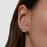 s.Oliver Ohrstecker - mit funkelnden Stein Details